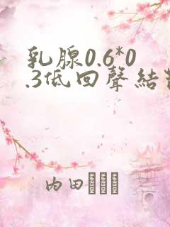 乳腺0.6*0.3低回声结节