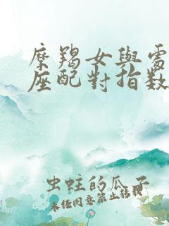 摩羯女与处女男座配对指数