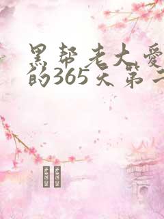 黑帮老大爱上我的365天第二季在线观看