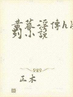 黄蓉淫传h版系列小说