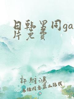 日韩男同gay片免费