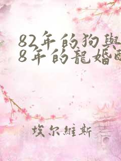 82年的狗与88年的龙婚配如何?