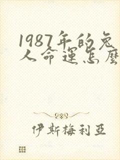 1987年的兔人命运怎么样