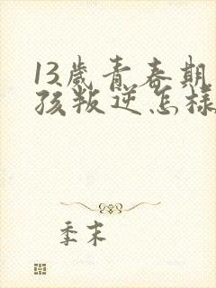 13岁青春期男孩叛逆怎样引导