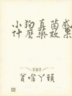 小狗真菌感染用什么药效果好