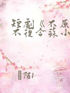 短剧《不原谅,不复合苏小姐独美》