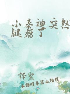 小泰迪突然一只腿瘸了