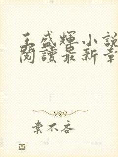 王盛辉小说免费阅读最新章节更新