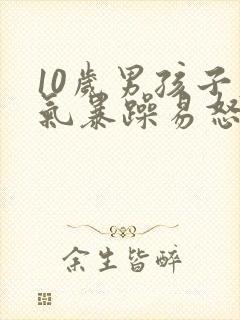 10岁男孩子脾气暴躁易怒怎么办