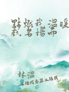 点燃我温暖你吻戏名场面