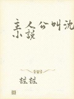 主人公叫沈涛的小说