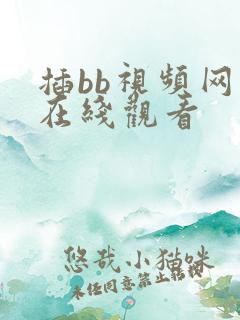 插bb视频网站在线观看