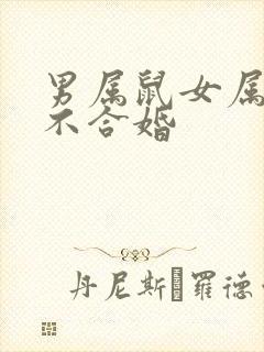 男属鼠女属猪合不合婚