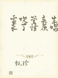 电吹管来生再续未了情原唱完整版