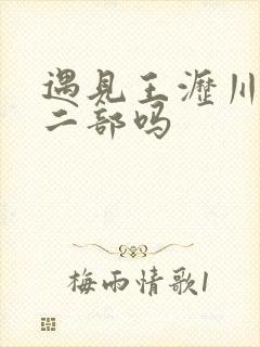 遇见王沥川有第二部吗