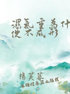 湿气重为什么大便不成形