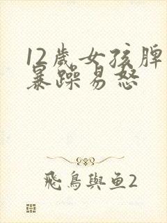 12岁女孩脾气暴躁易怒