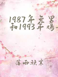 1987年兔男和1993年鸡女相配婚姻如何