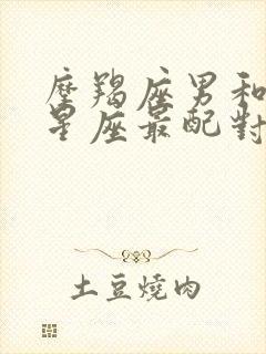 摩羯座男和什么星座最配对指数