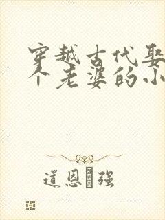 穿越古代娶了四个老婆的小说