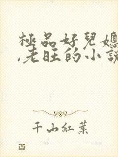 极品好儿媳秦雨,老旺的小说免费阅读全文