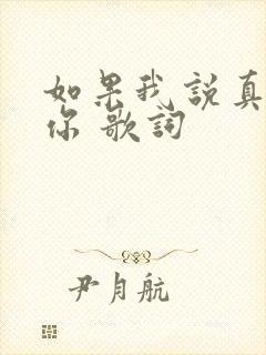 如果我说真的爱你 歌词
