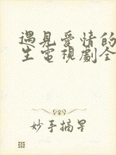 遇见爱情的利先生电视剧全集