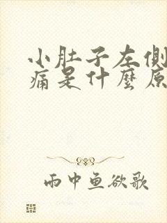 小肚子左侧有点痛是什么原因