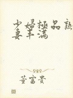 少妇极品熟妇人妻丰满