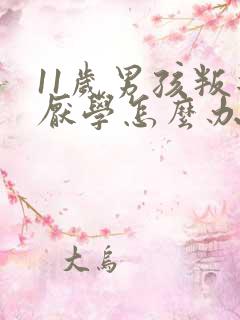 11岁男孩叛逆厌学怎么办