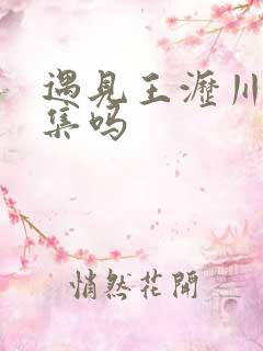 遇见王沥川有续集吗