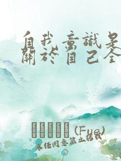 自我意识是个体关于自己全部的思想