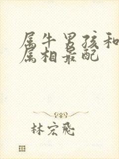 属牛男孩和什么属相最配