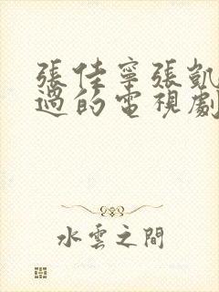 张佳宁张凯丽演过的电视剧