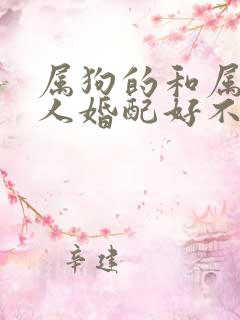 属狗的和属龙的人婚配好不好