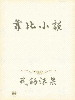 靠比小说
