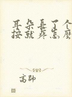 耳朵长了个包一按就疼怎么办前面