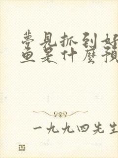 梦见抓到好多大鱼是什么预兆 男性周公解梦