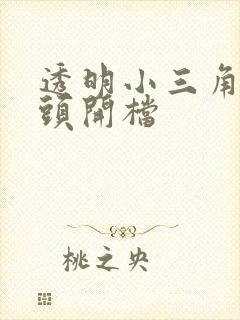 透明小三角女裤头开档