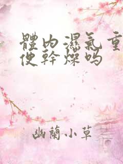 体内湿气重会大便干燥吗