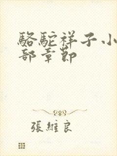 骆驼祥子小说全部章节