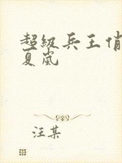 超级兵王俏总裁夏岚