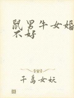 鼠男牛女婚配好不好