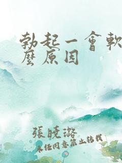 勃起一会软了什么原因