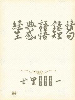 经典语录情感人生感悟短句