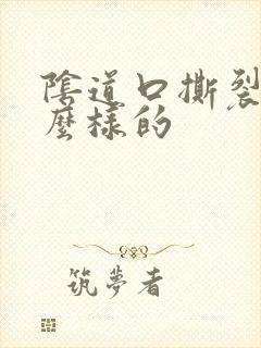 阴道口撕裂是怎么样的