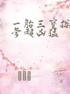 一胎三宝总裁爹爹超凶猛