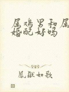 属鸡男和属兔女婚配好吗