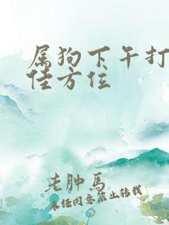 属狗下午打牌最佳方位