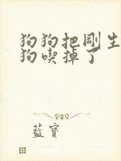 狗狗把刚生的小狗吃掉了